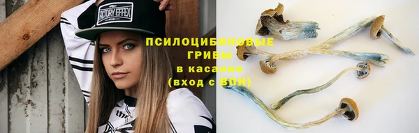 прущие грибы Алексеевка