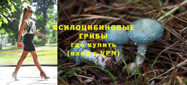 прущие грибы Алексеевка