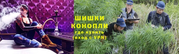 бошки Алексин