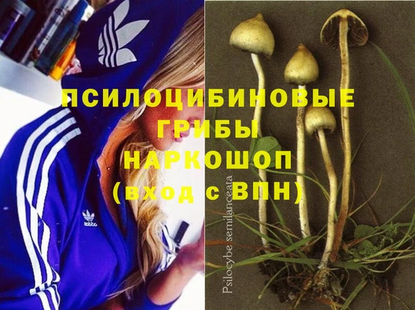 каннабис Алзамай