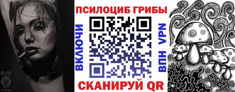 KRAKEN как войти  наркотики  Североуральск  Галлюциногенные грибы мицелий 